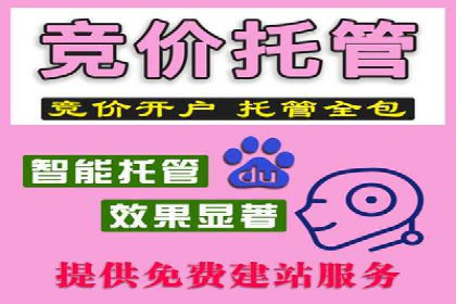 成功SEM主管的营销策略案例分享
